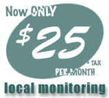 Local Monitor Only $20 monthly